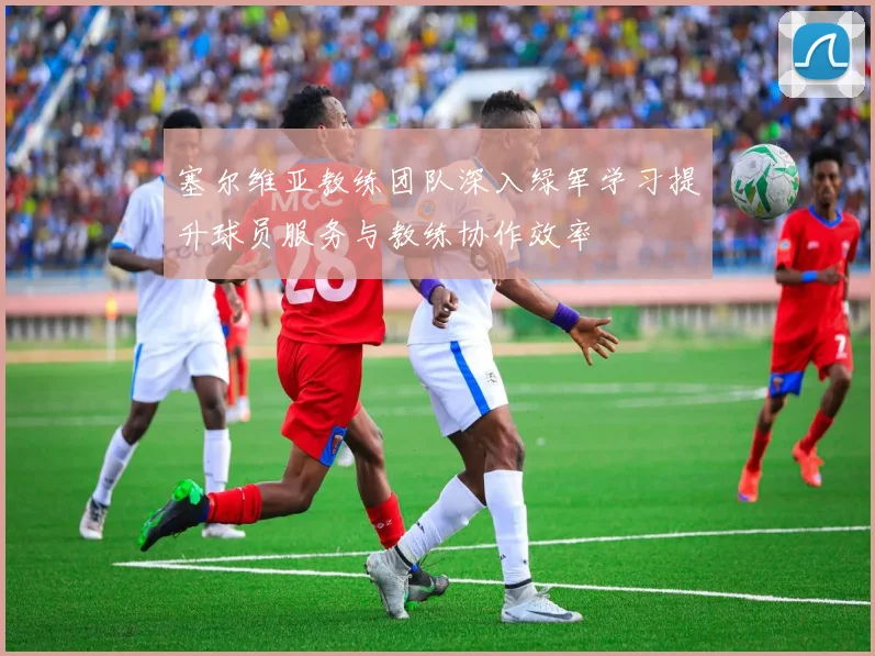 塞尔维亚教练团队深入绿军学习提升球员服务与教练协作效率